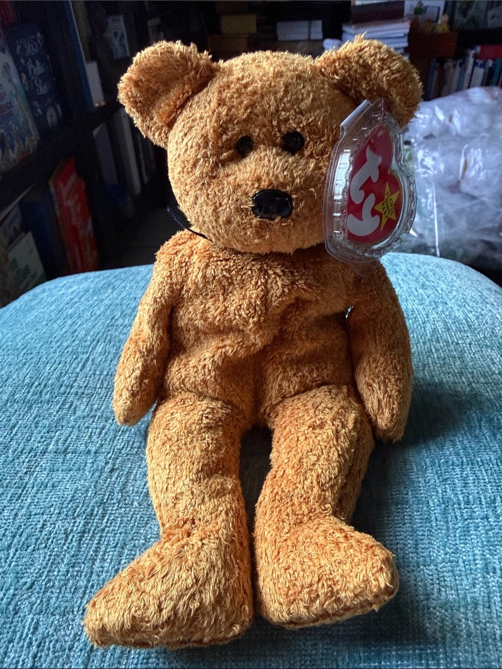 Ty Beanie Baby "Fuzz", the 'Tylon' Brown Bear * Mint w/Mint Tags